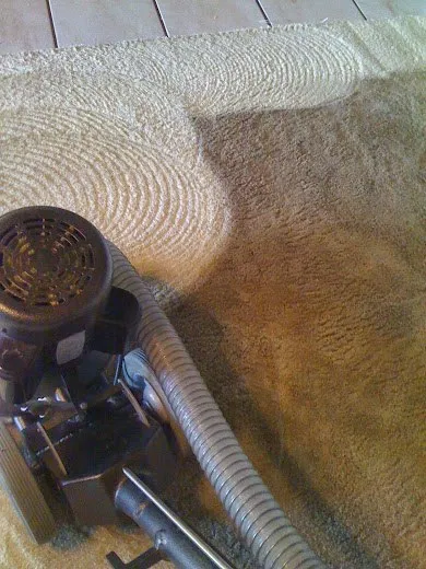 Why Professional Cleaning Services Are Essential for a Healthy Home & Workplace